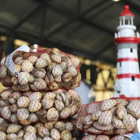 Serene View - By Sch Apartment *